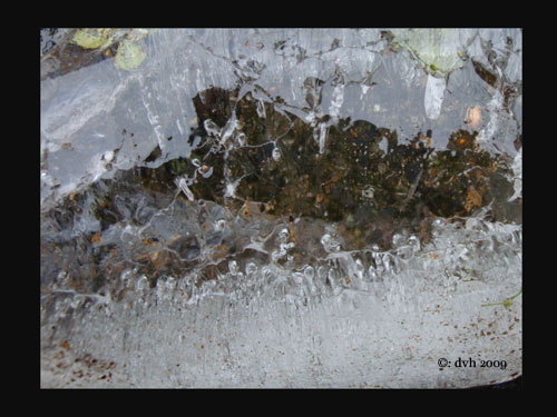 DSC03974randweb.jpg