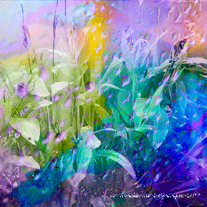 image.gif