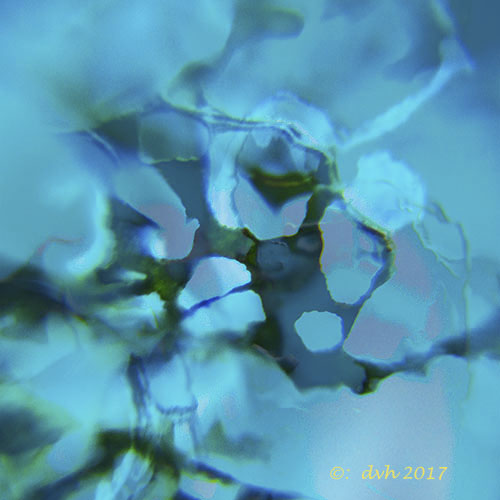 blad1gweb1.jpg