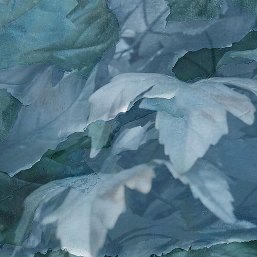 blad2web.jpg