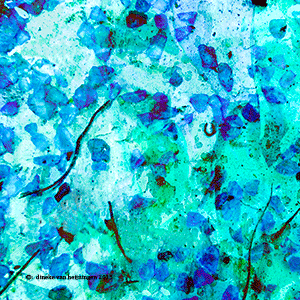 bloem1.gif