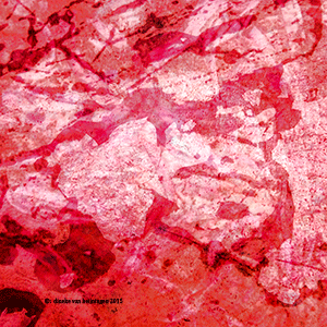 bloem3.gif