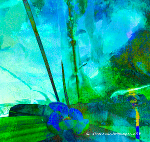 experiment8_2.gif