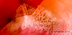 hort8g.gif