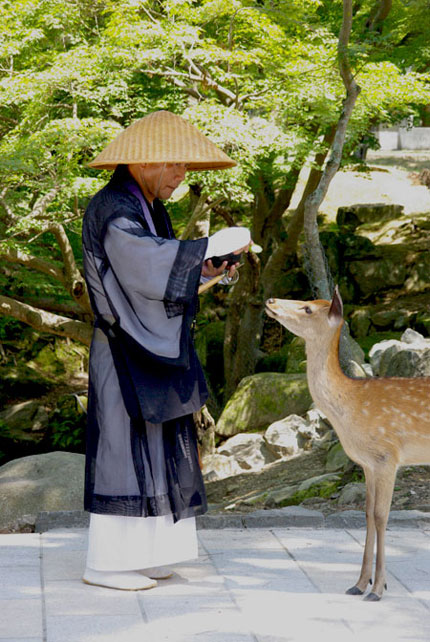japan25.jpg