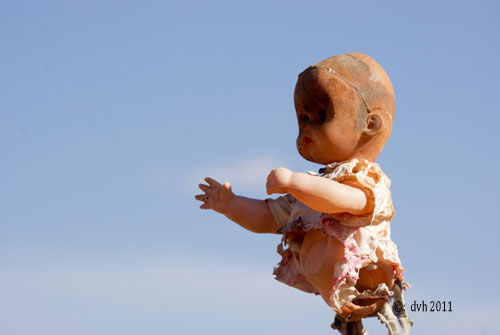 IMGP4409web.jpg