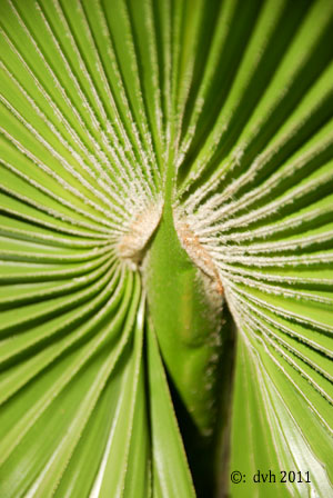 IMGP4921web.jpg