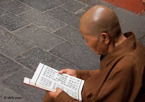 tapei5l.jpg